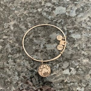 Alex and Ani bracelet